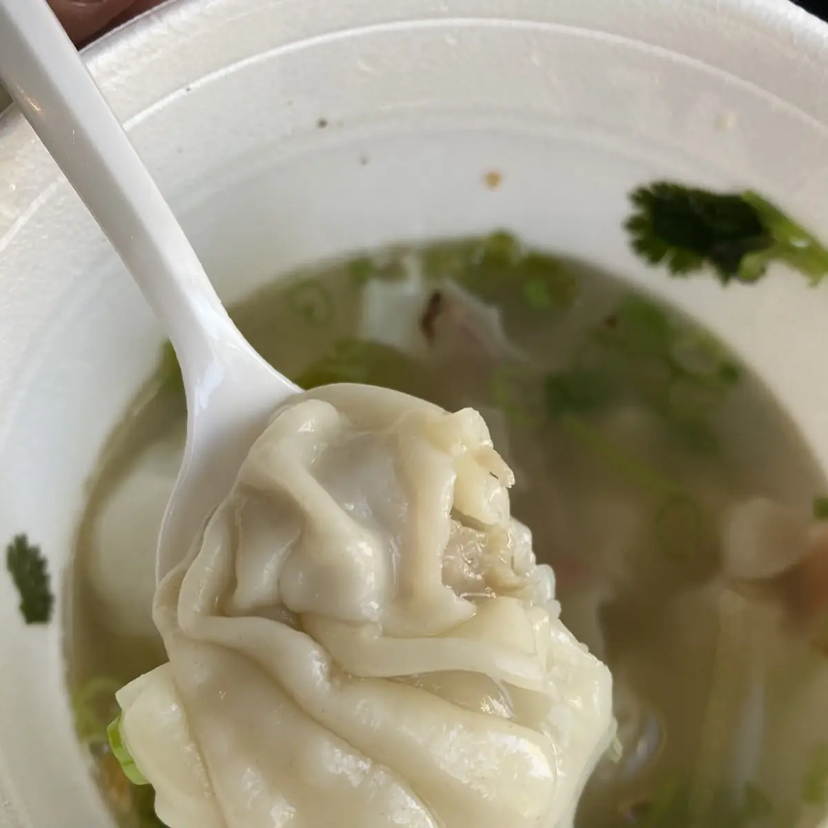 Wonton Soup