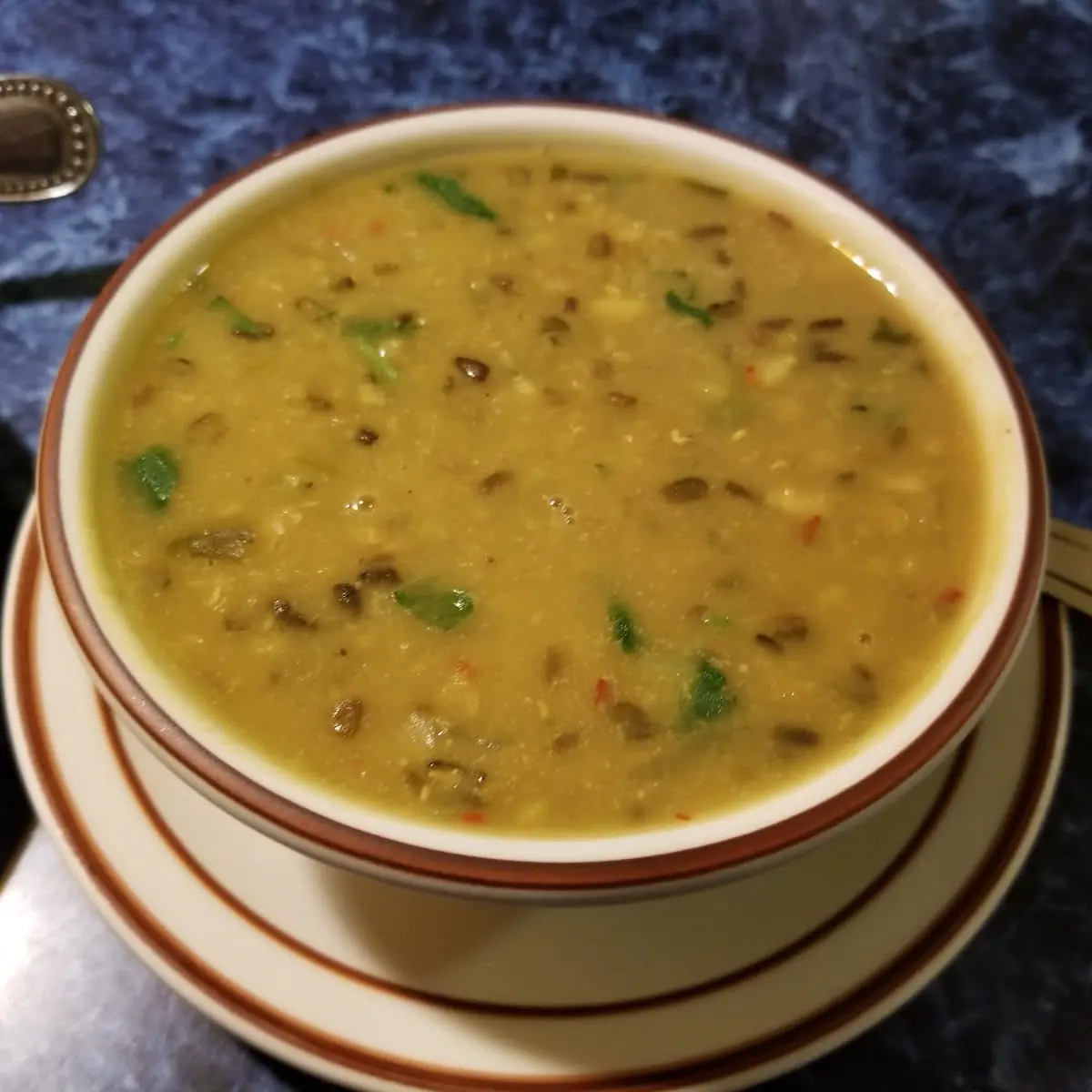 VEGETABLE SOUP