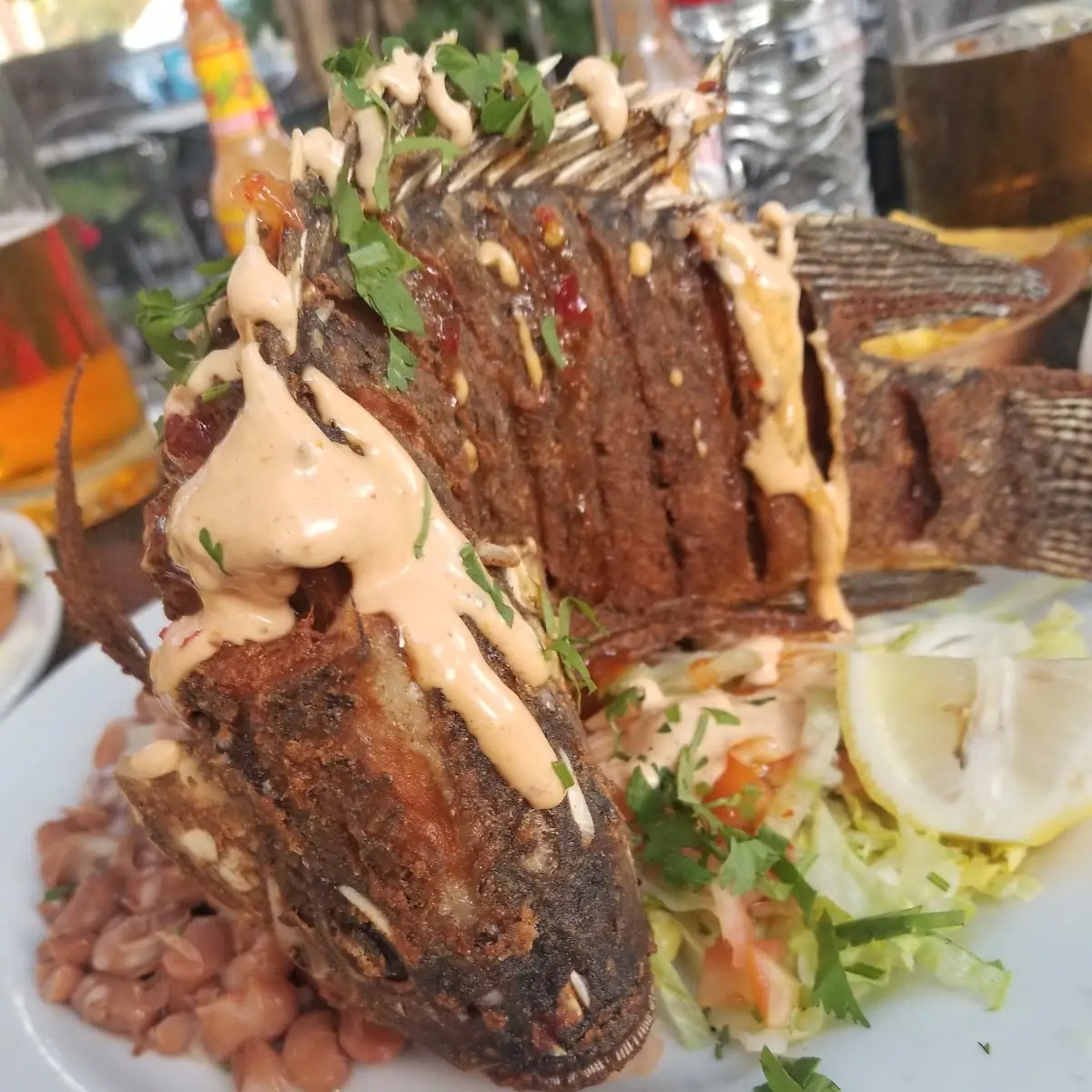 Mojara -Whole Fried Tilapia