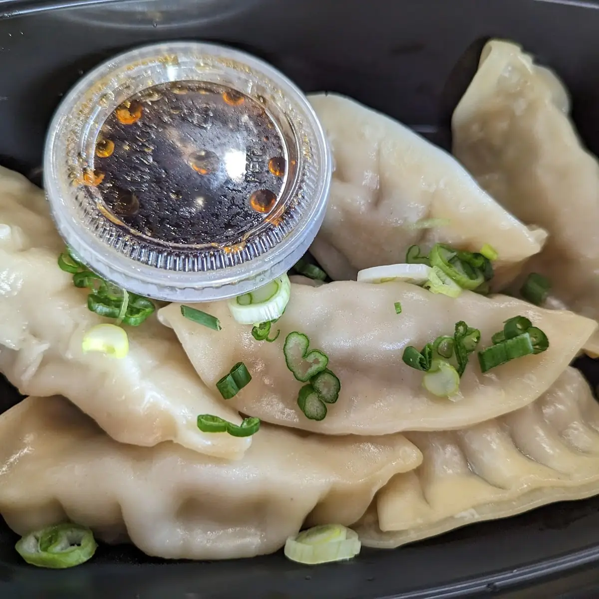 Dumpling Pork Veggie