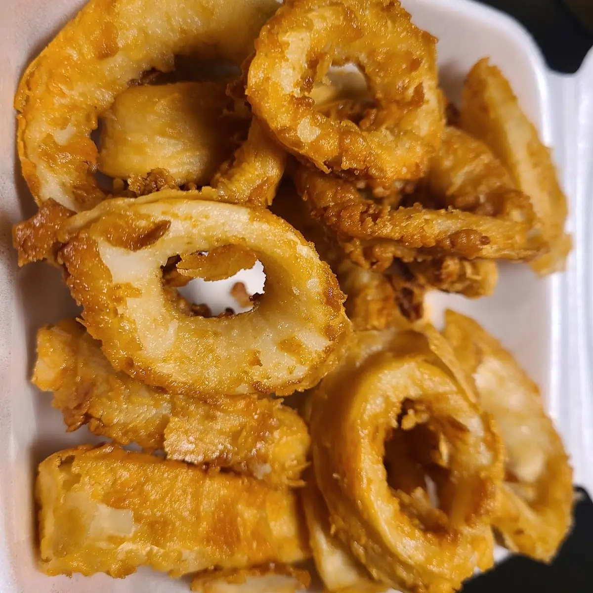 Fried Calamari