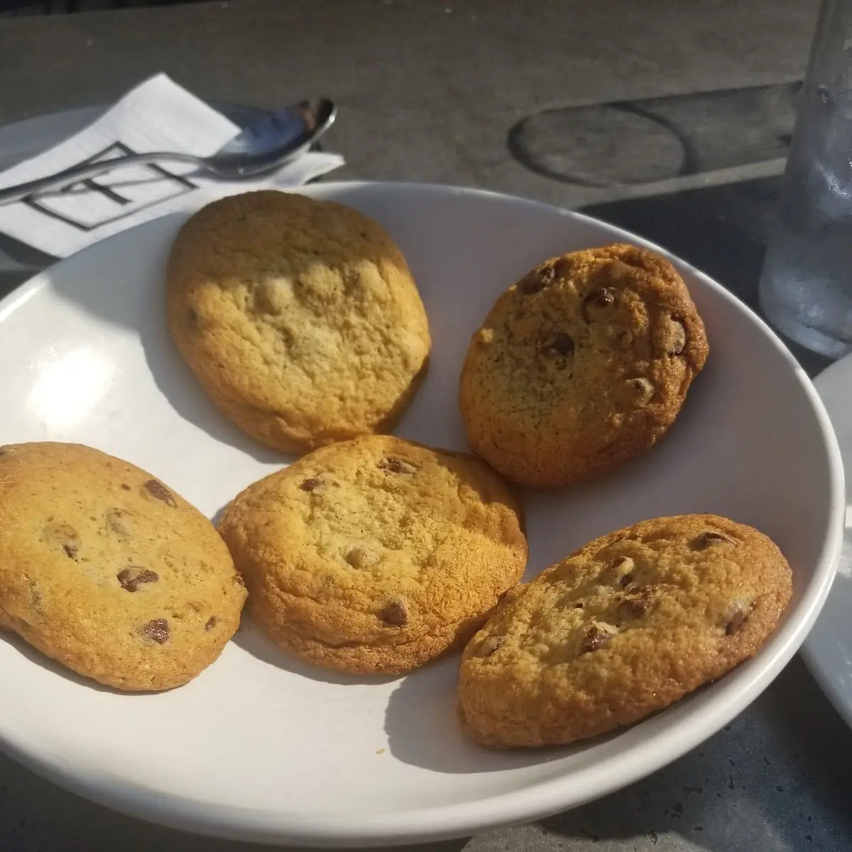 Homemade Chocolate Chip Cookie