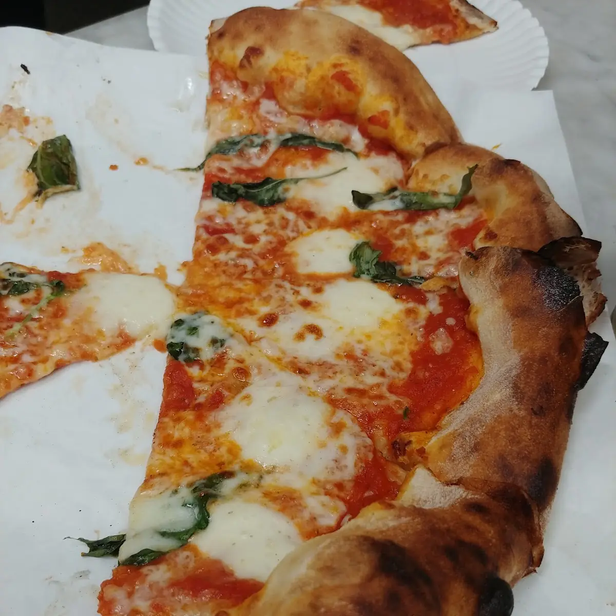 The New Yorker Cheezzy Cheese Pizza