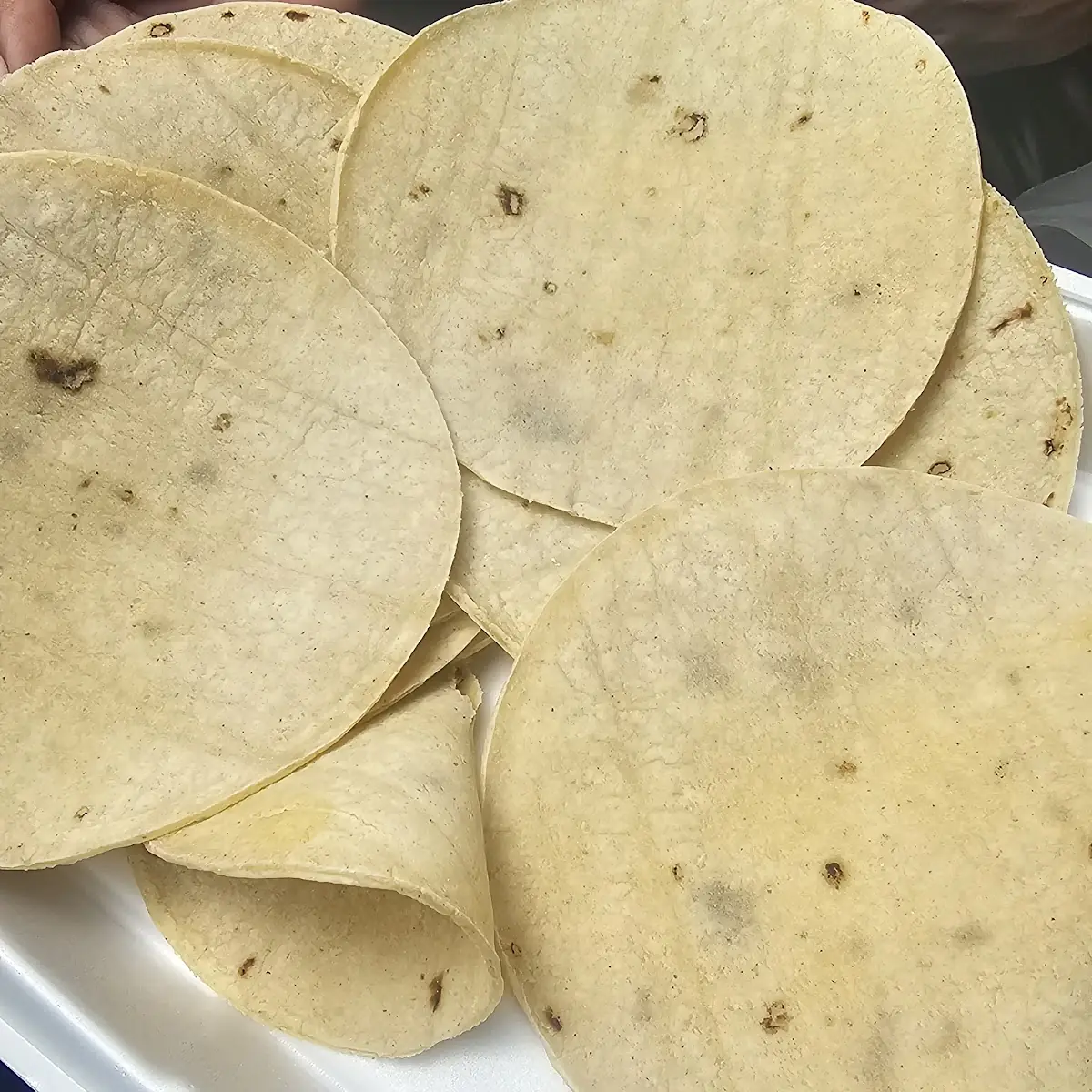Corn Tortillas