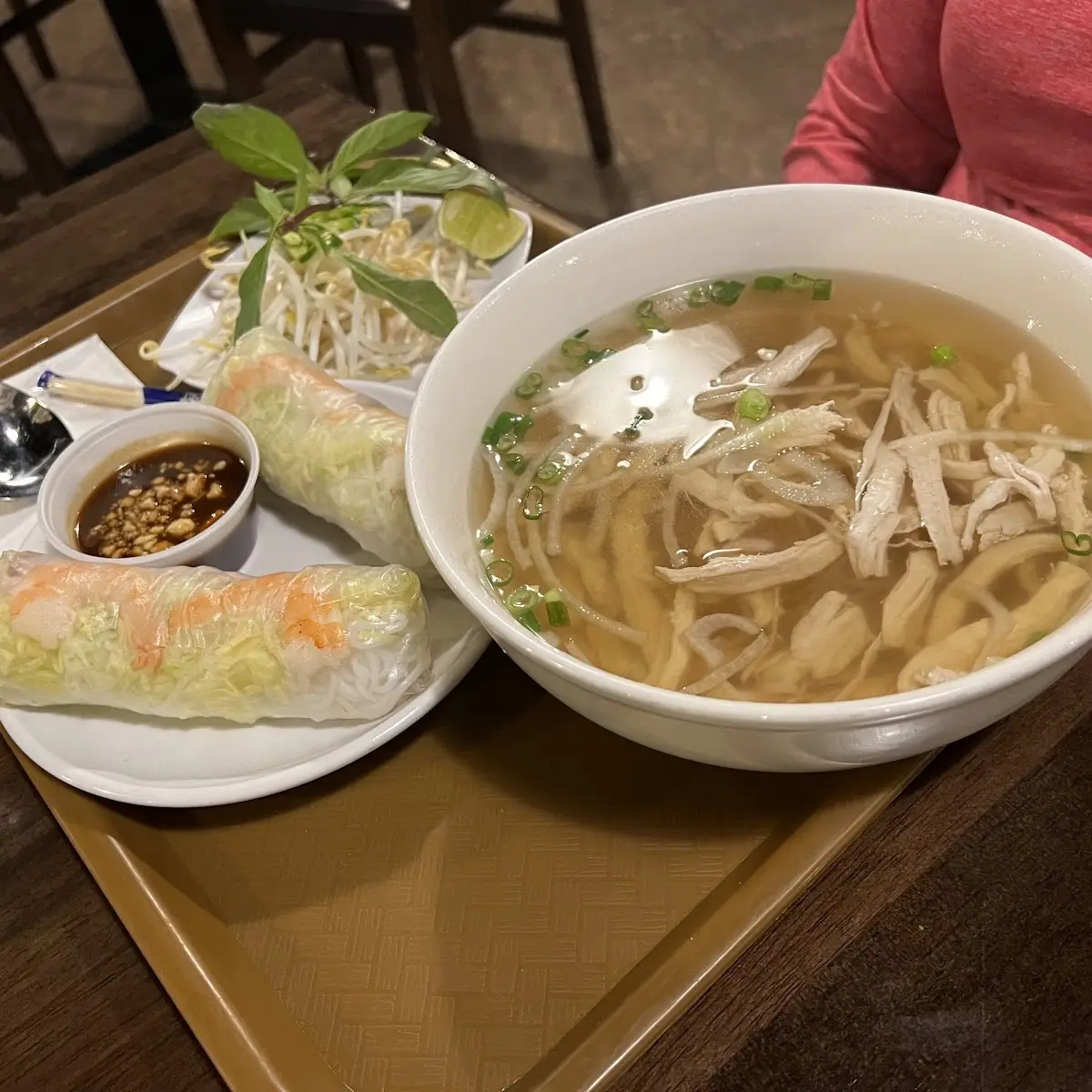 House Special Pho and Fried Egg Rolls