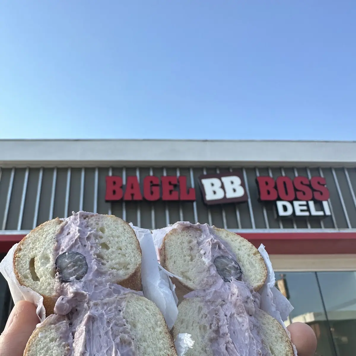 Plain Bagel with Blueberry Cream Cheese