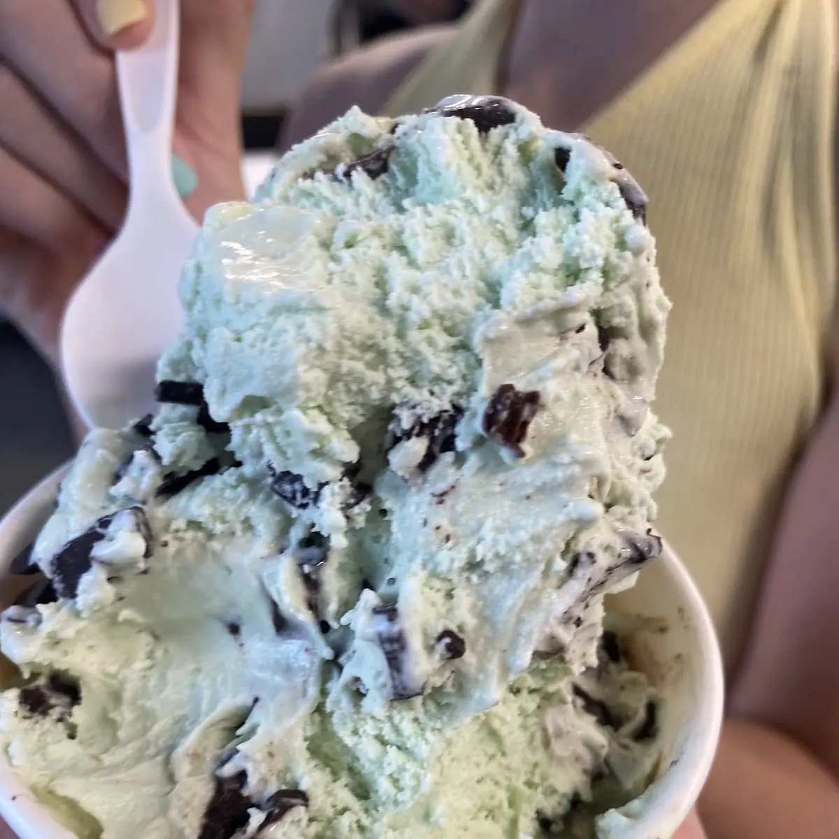 Mint Chocolate Chip