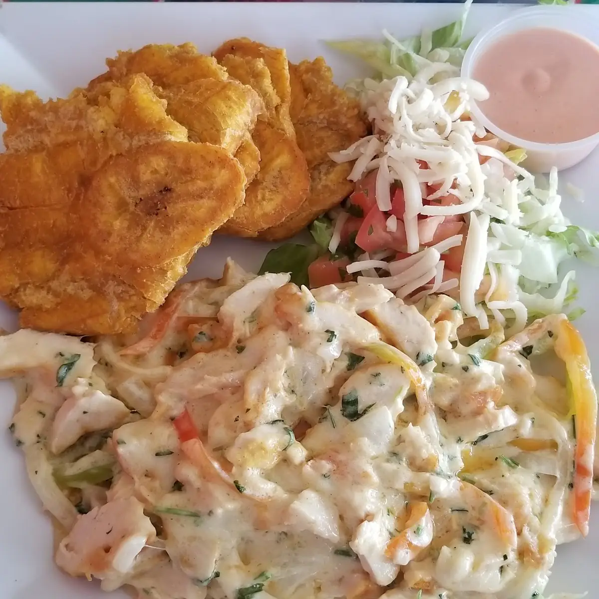 Tiritas De Pechuga En Salsa Blanca
