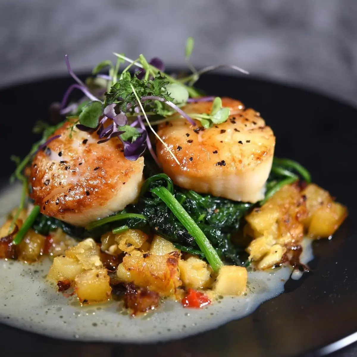 Pan Seared Scallop