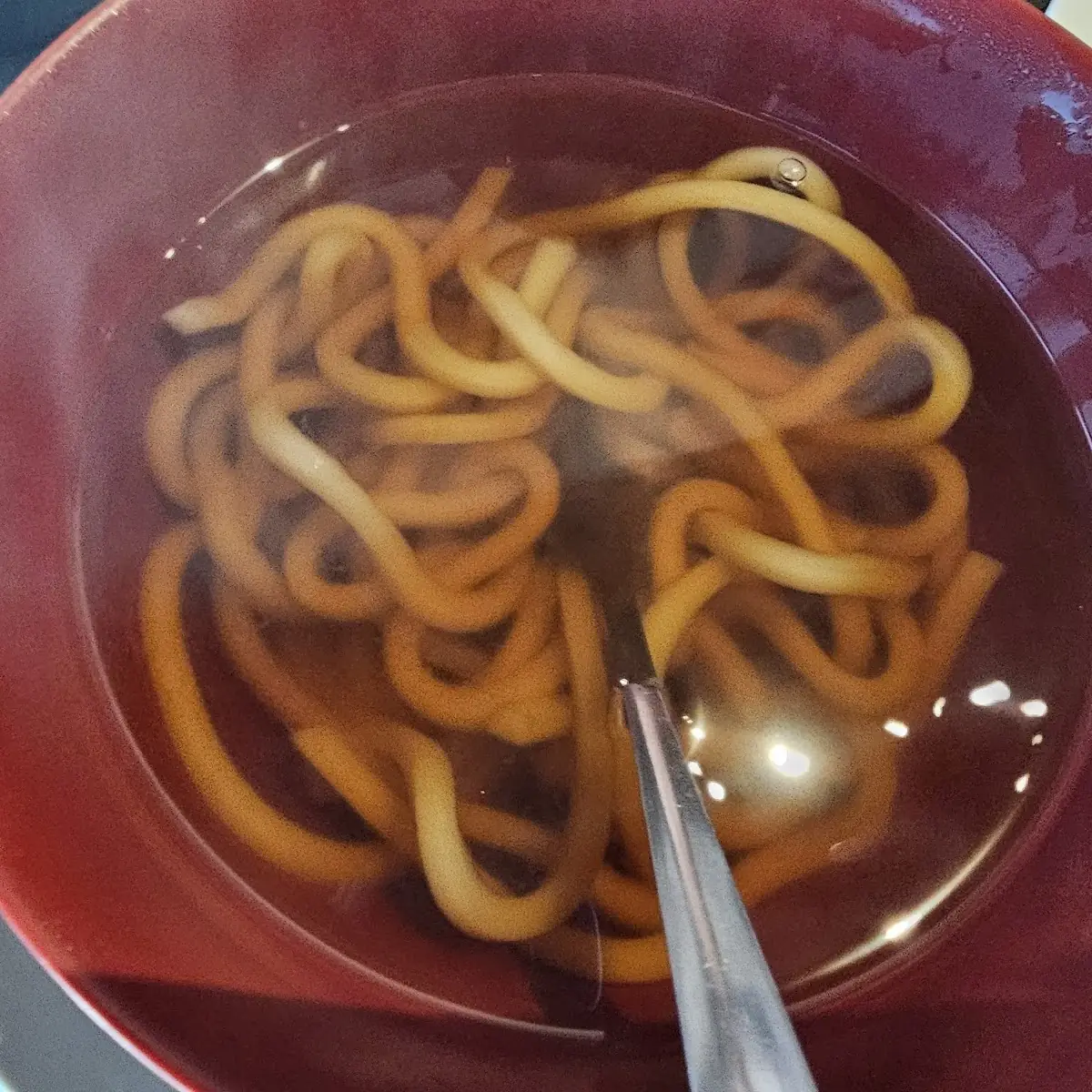Pan Fried Udon