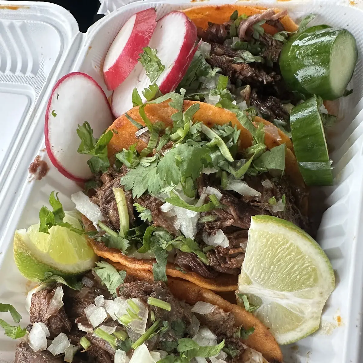 Steak and Al Pastor Taco