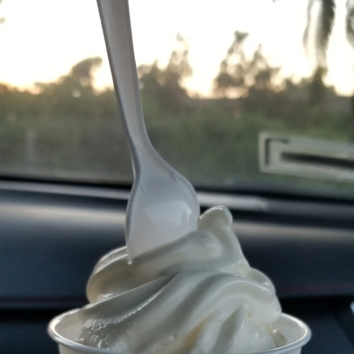 Soft Serve Ice Cream