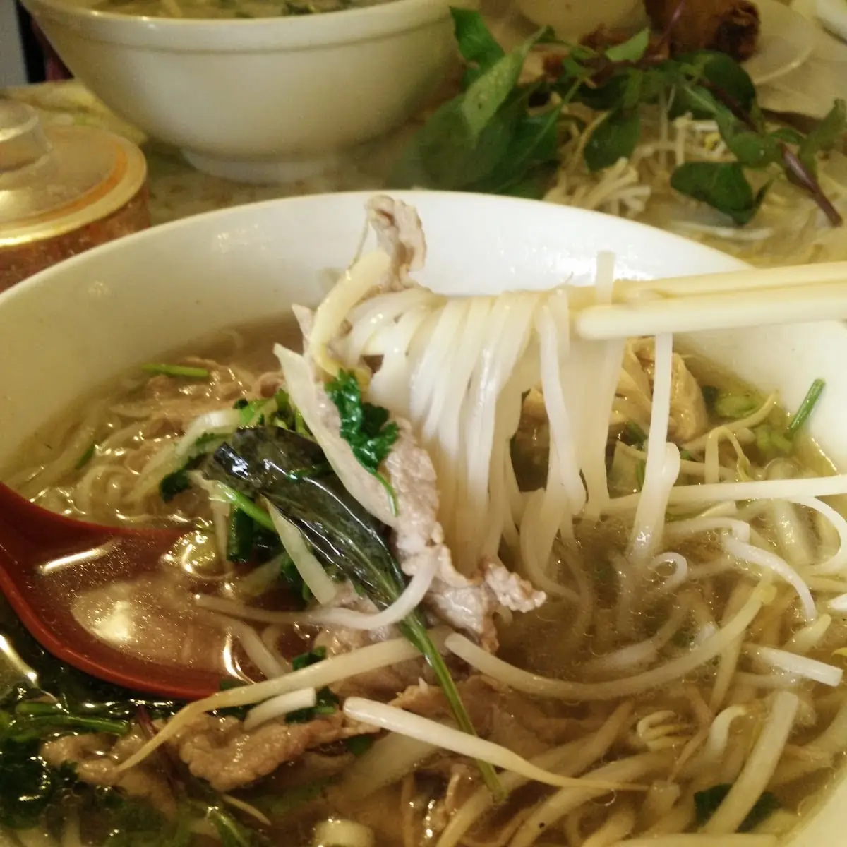 Mung Bean Noodle Soup