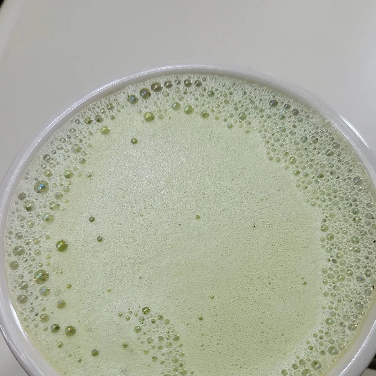 Matcha Latte