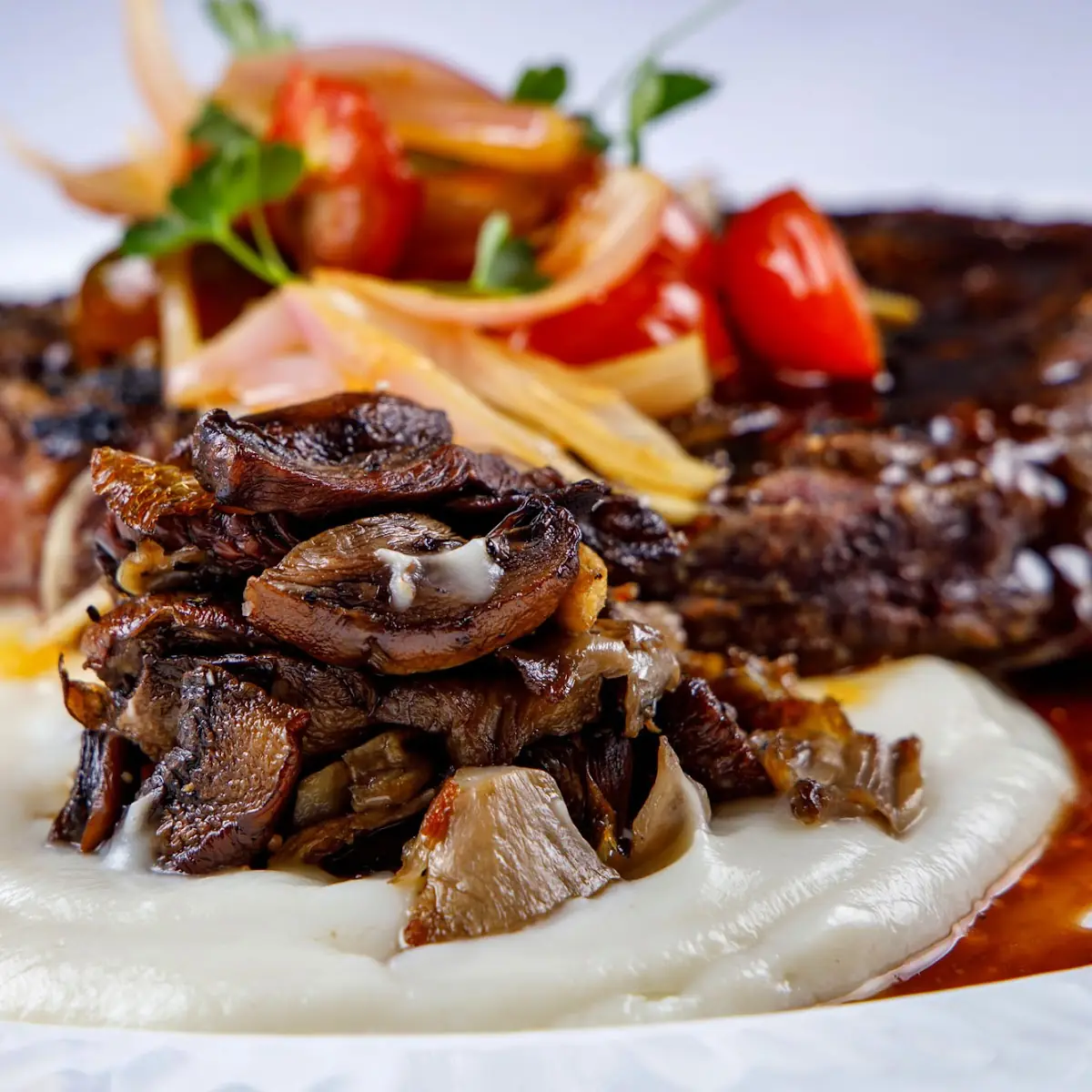 Double Cut Colorado Lamb Chops & Braised Lamb Shoulder