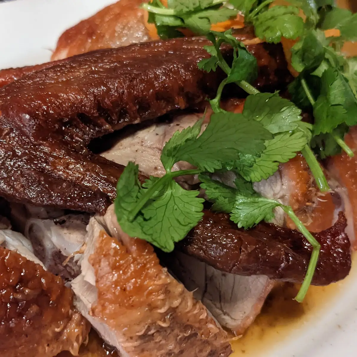 Peking Duck L