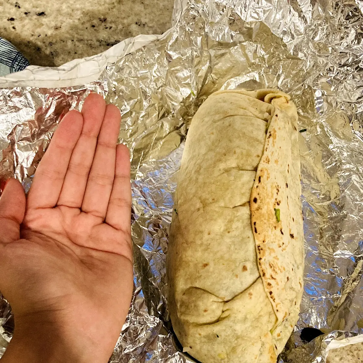 Fish Burrito