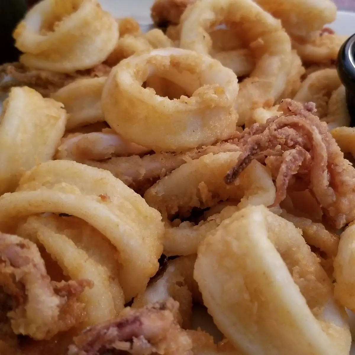 Fried Calamari