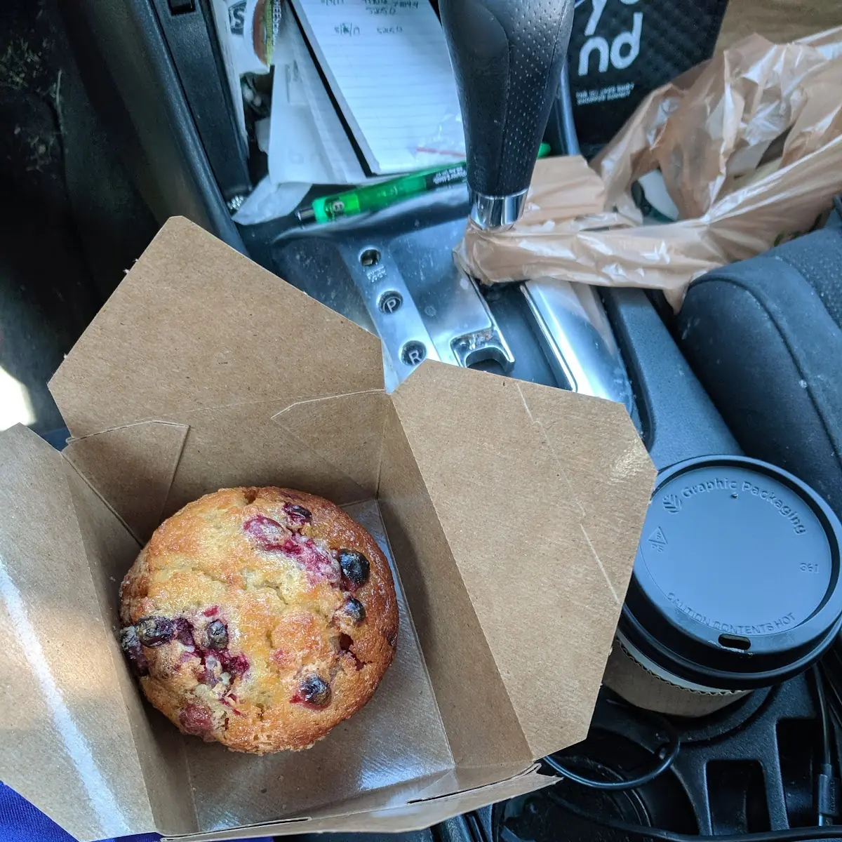 Blueberry Muffin