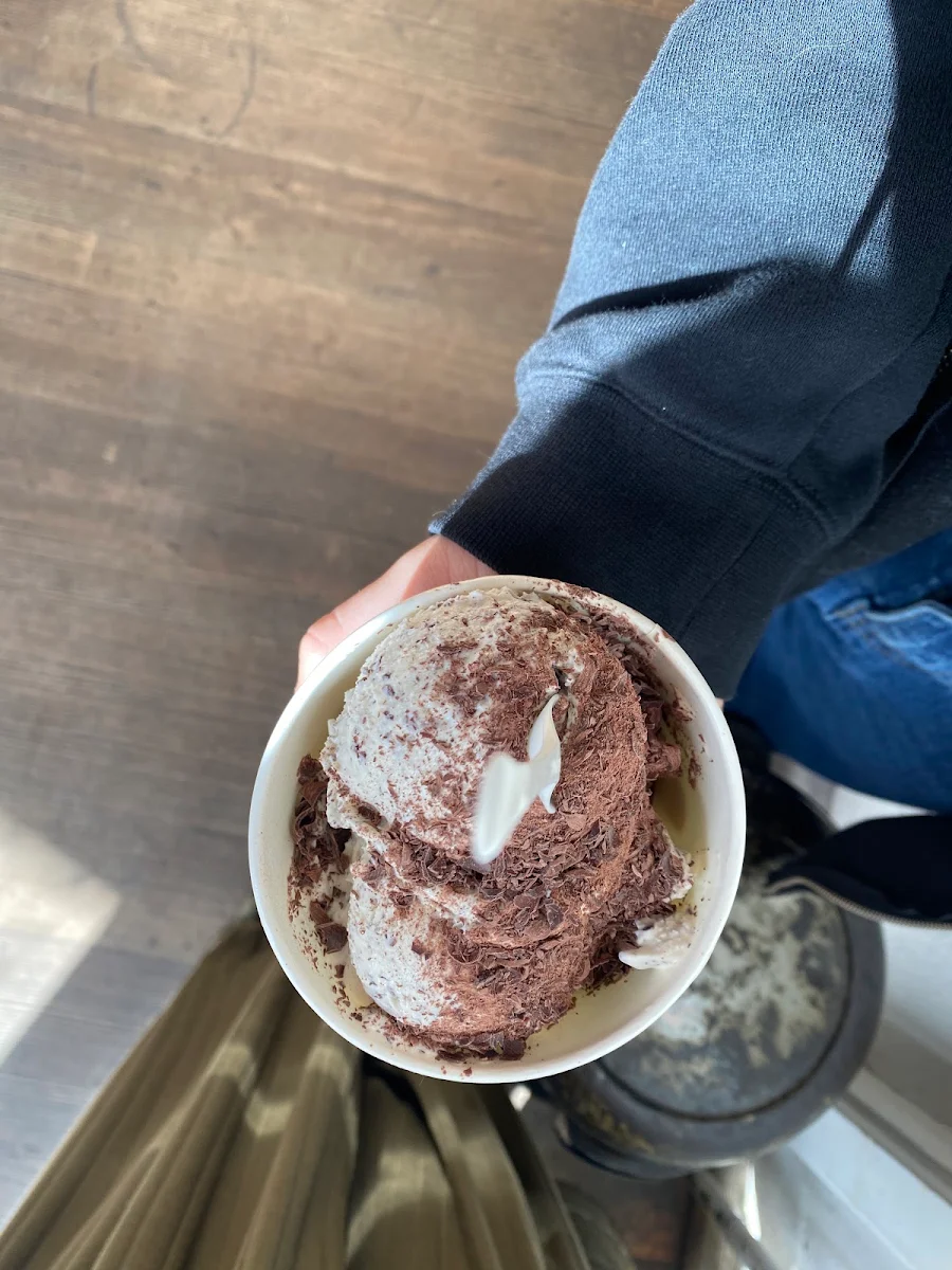 Chocolate Chip Ice Cream