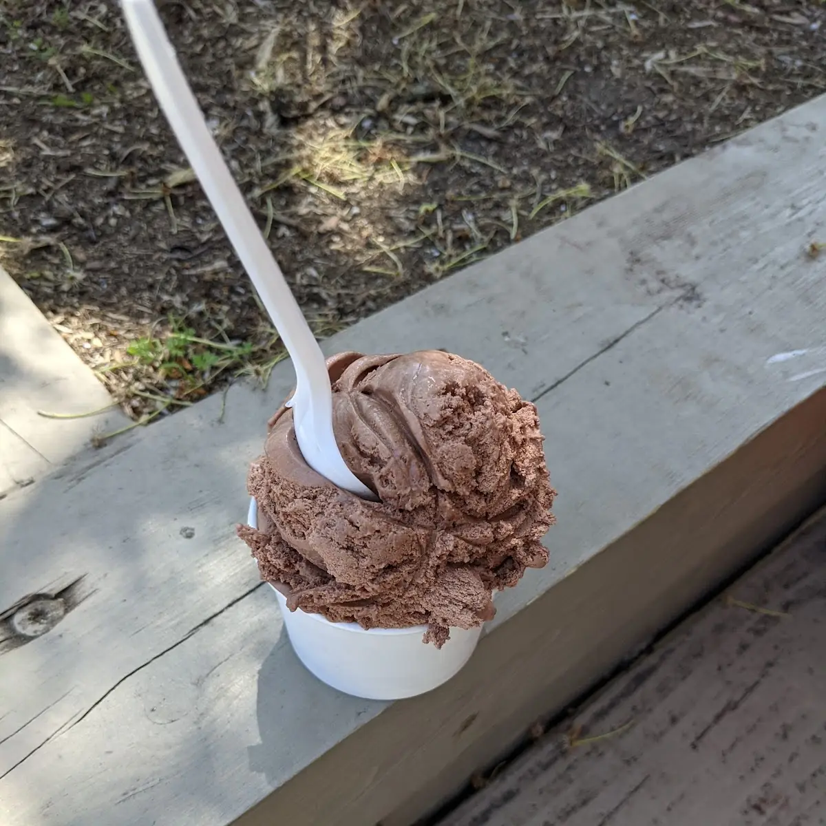 Chocolate Ice Cream