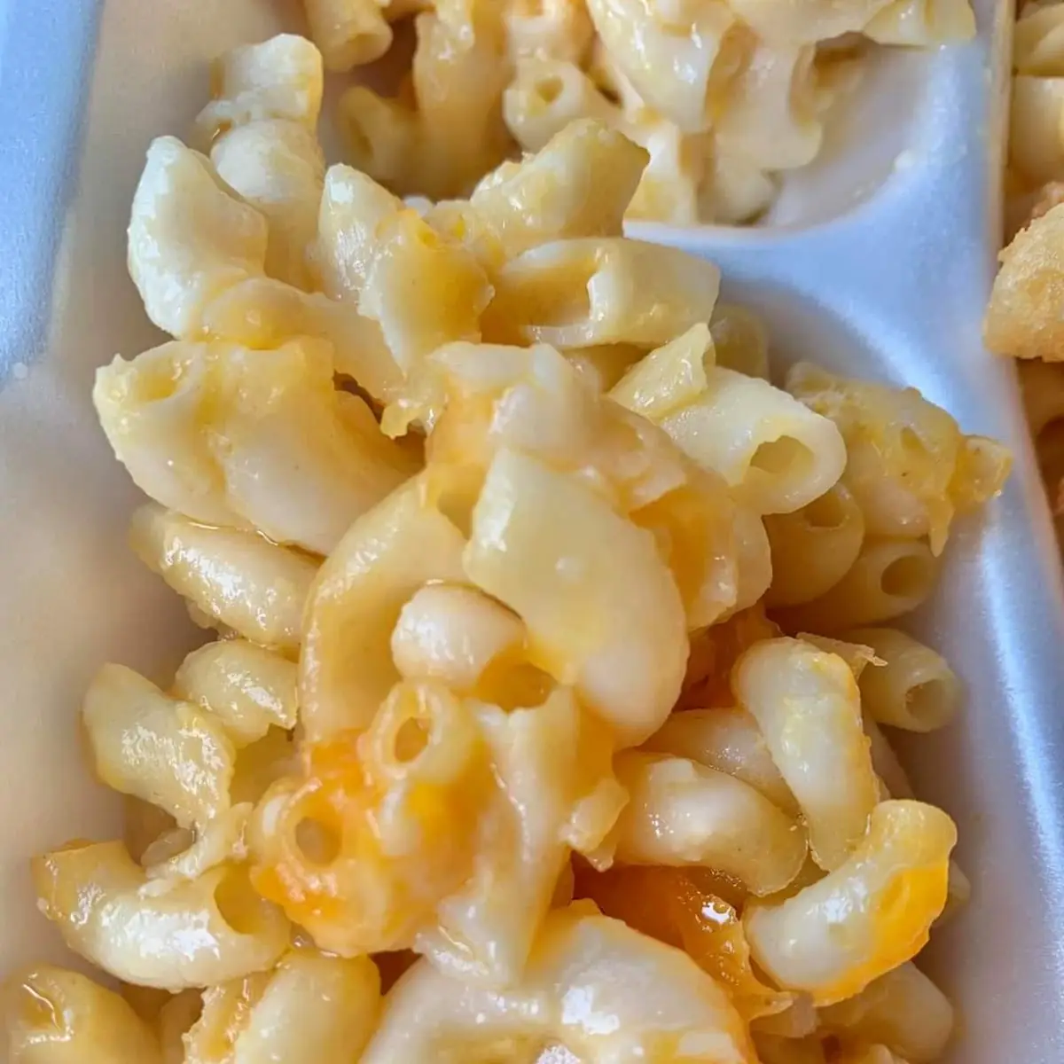 Mac& Cheese