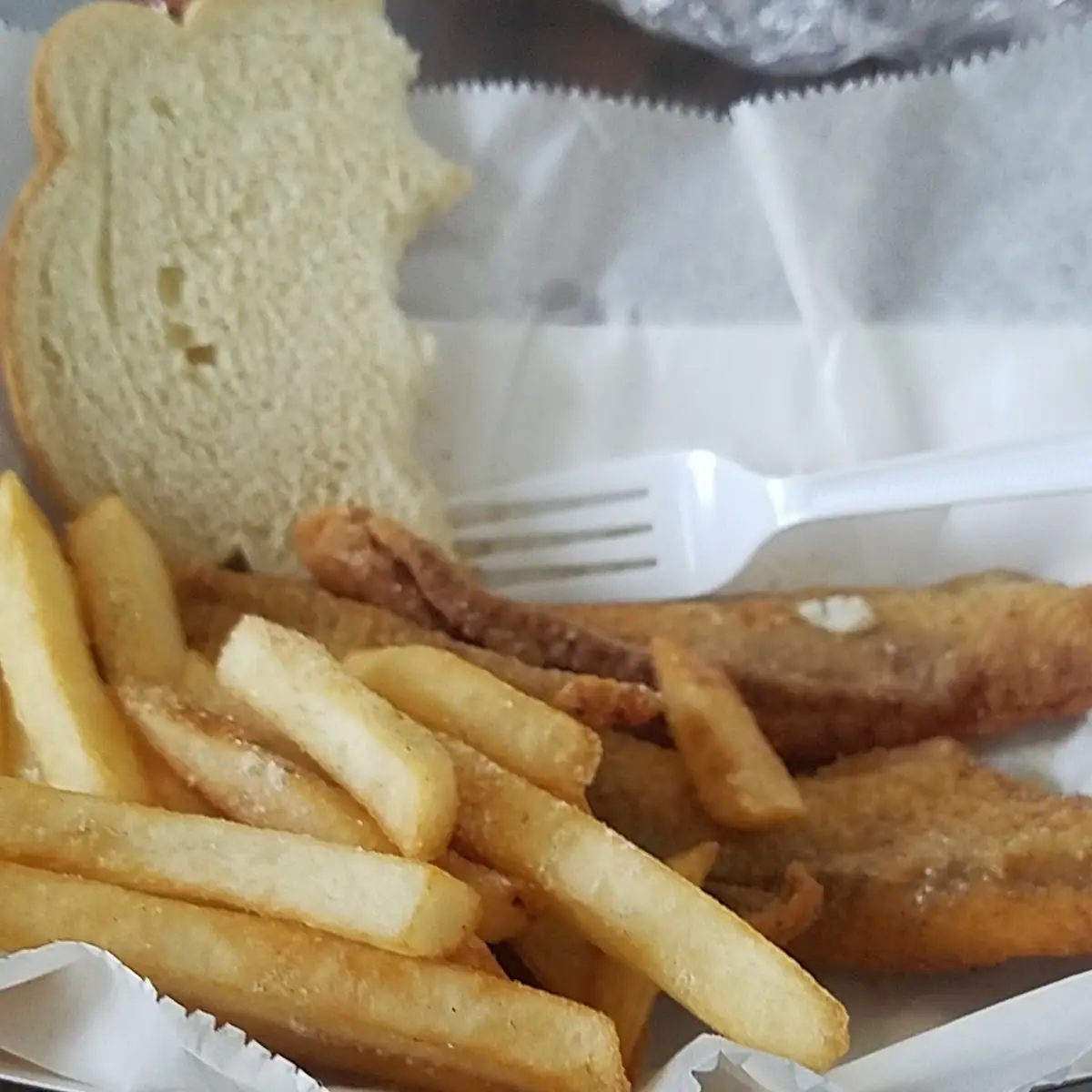 Fish and Fries