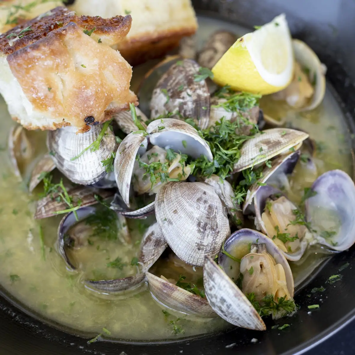 Steamer Clams