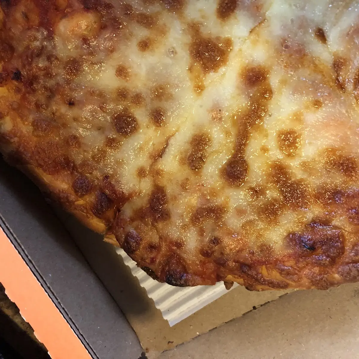 Plain Cheese Pizza
