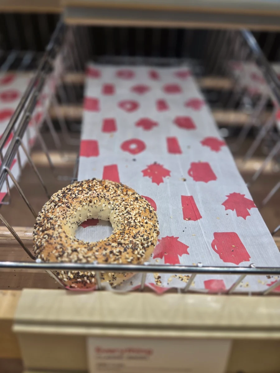 Everything Bagel