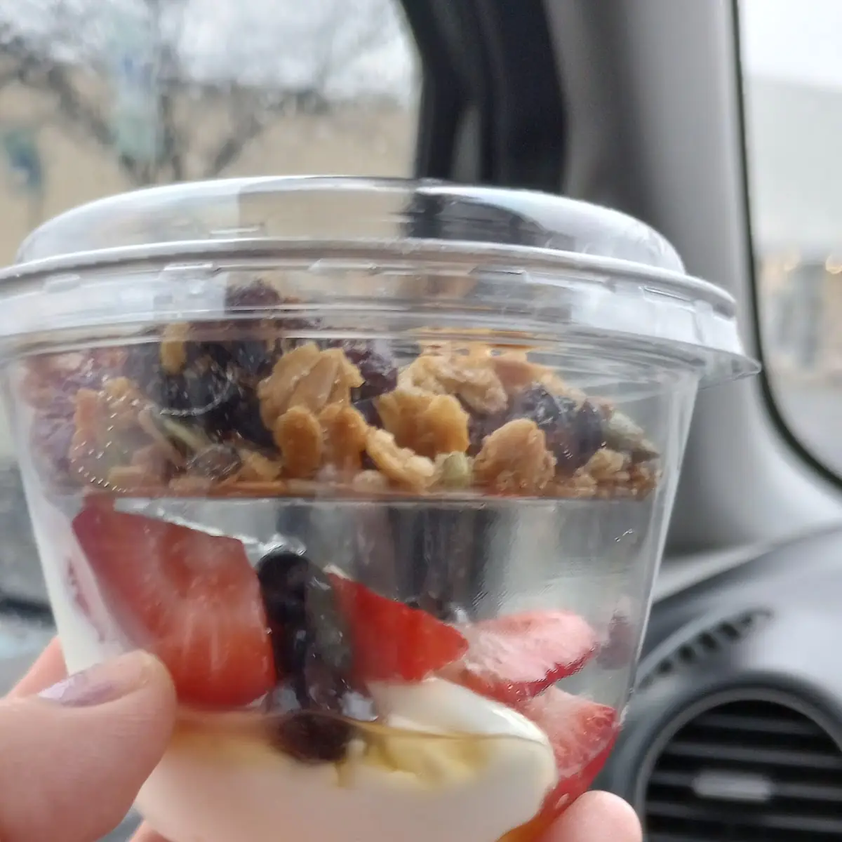 Fruit and Yogurt Parfait