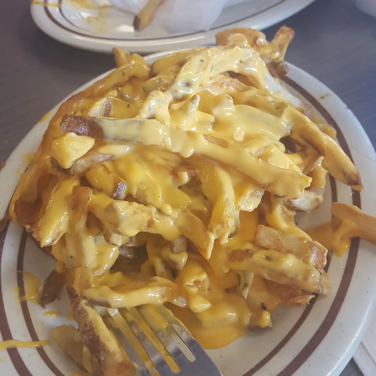 Large Cheese Fries