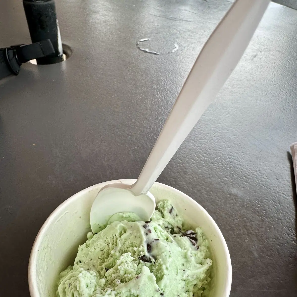 Mint Chocolate Chip