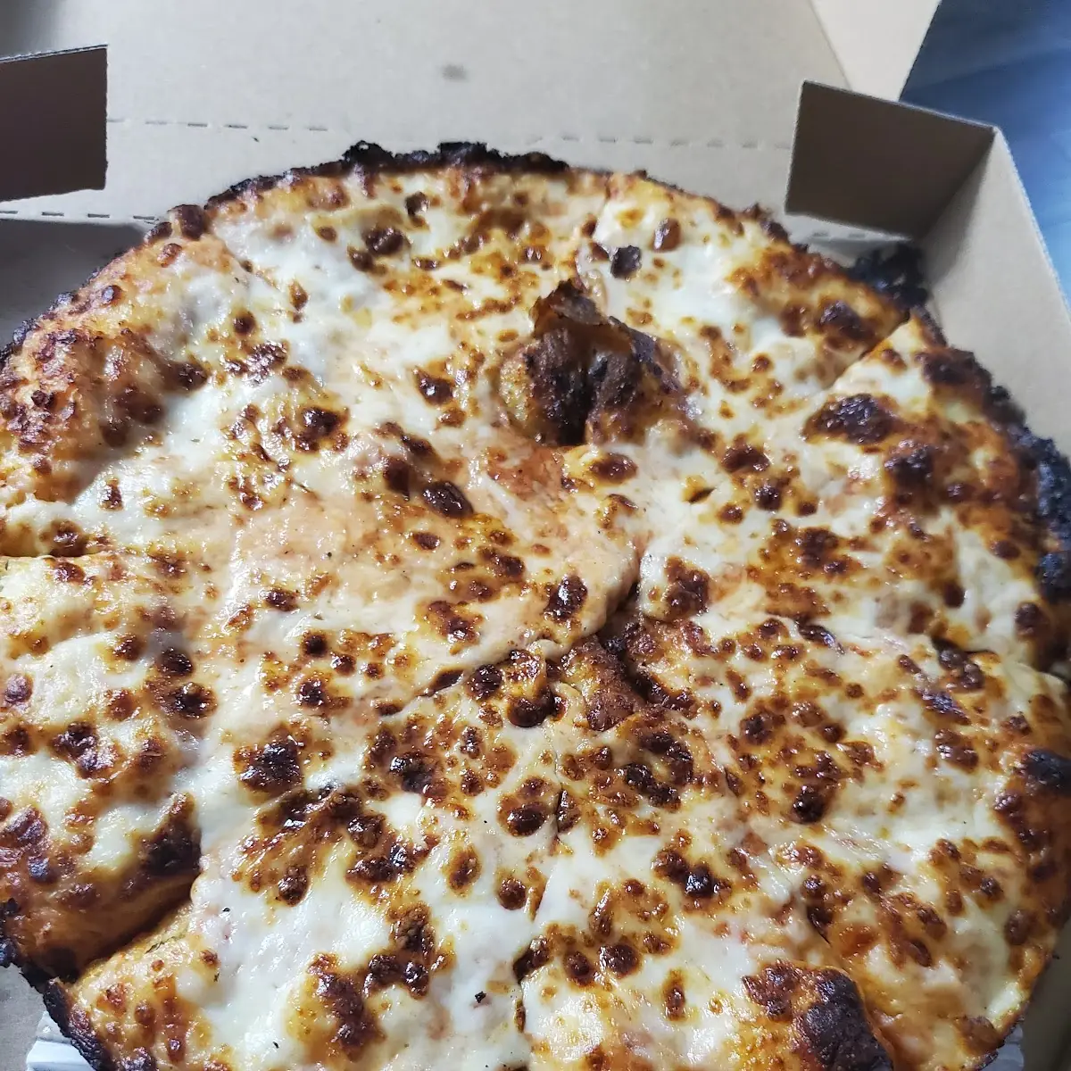 Over Baked Cheese Pizza 2