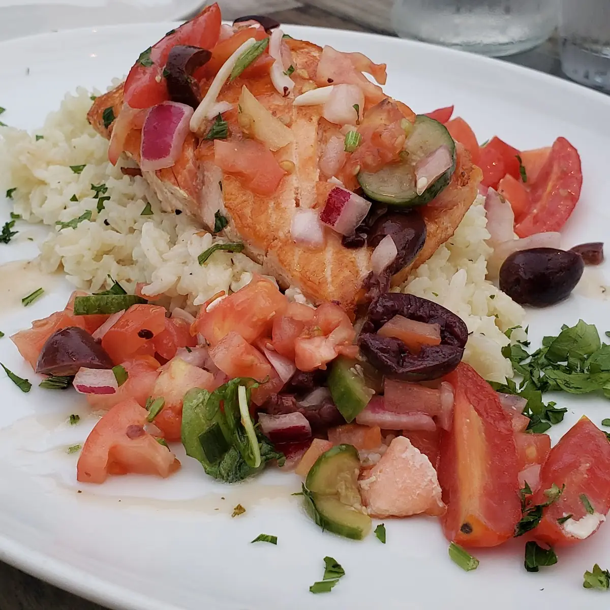 Mediterranean Salmon