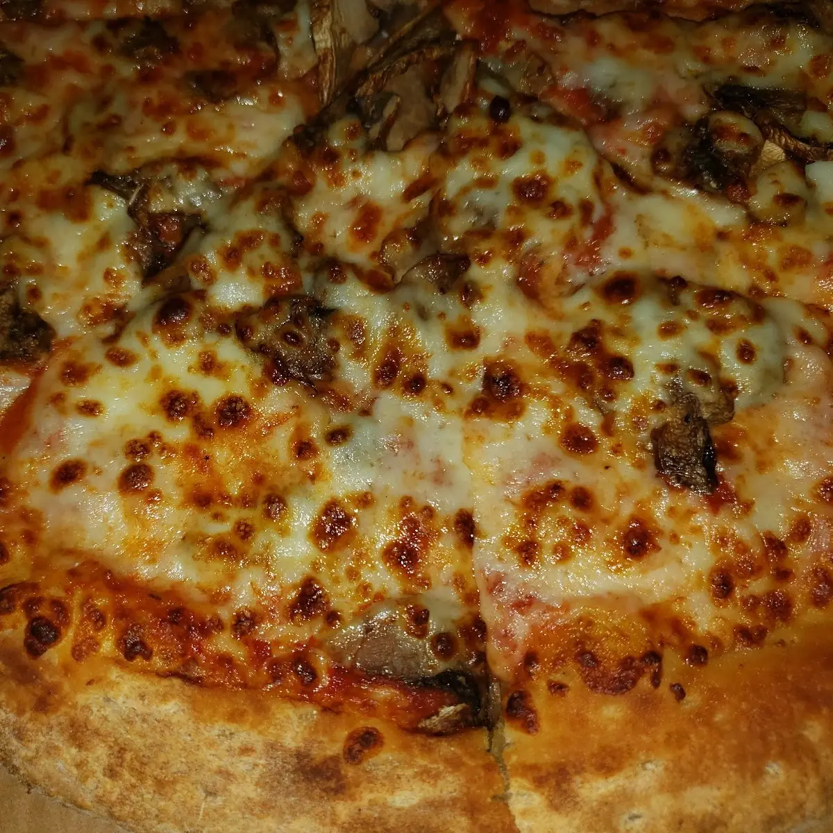 Mushroom Pizza