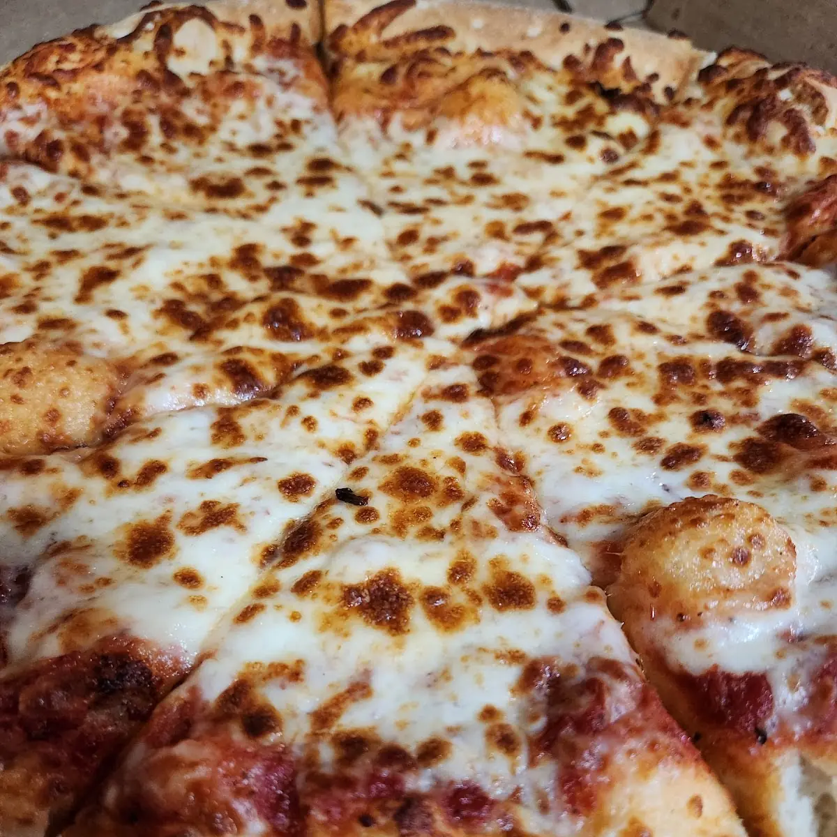 Cheese Pizza