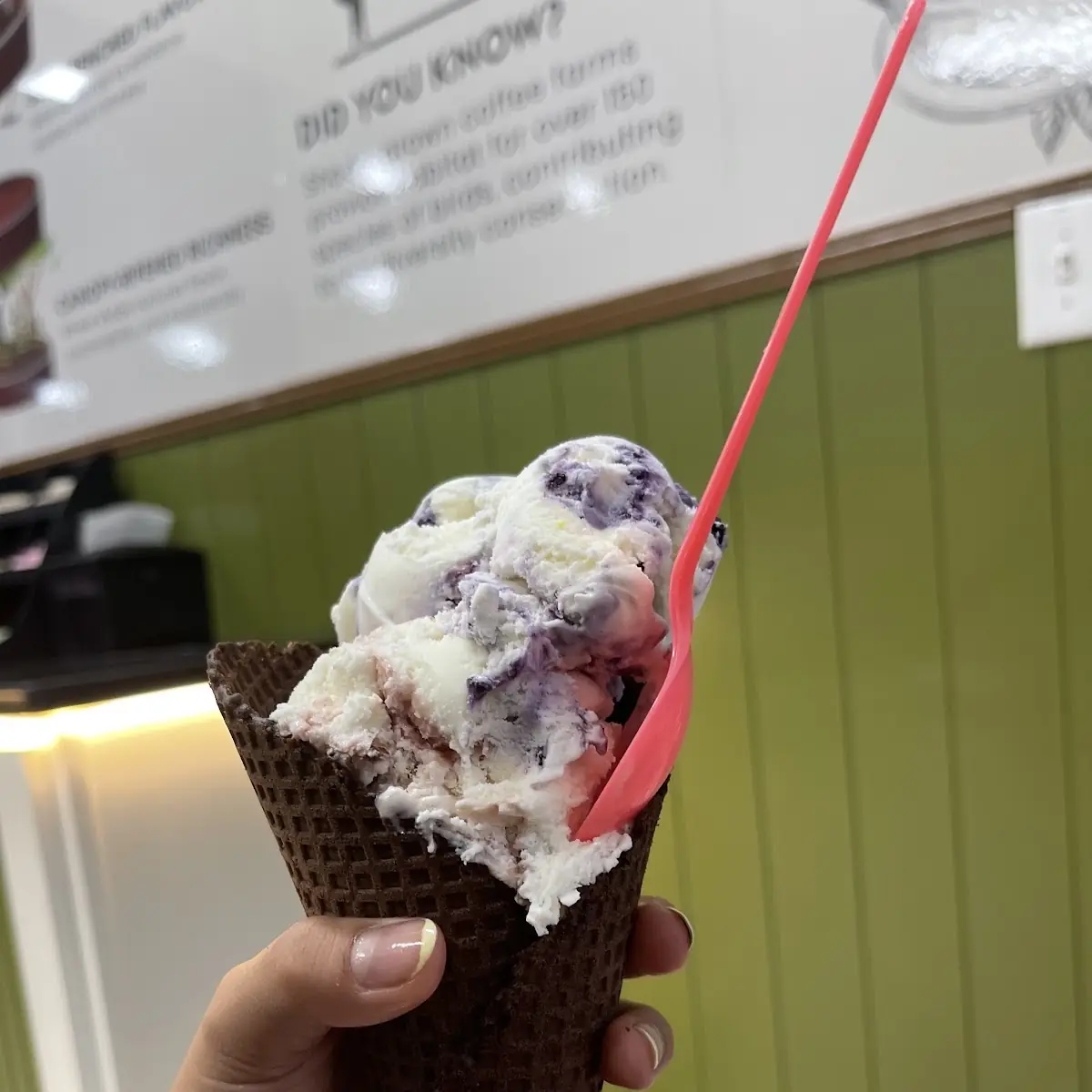 Cream Berry Ice Cream Waffle Cone