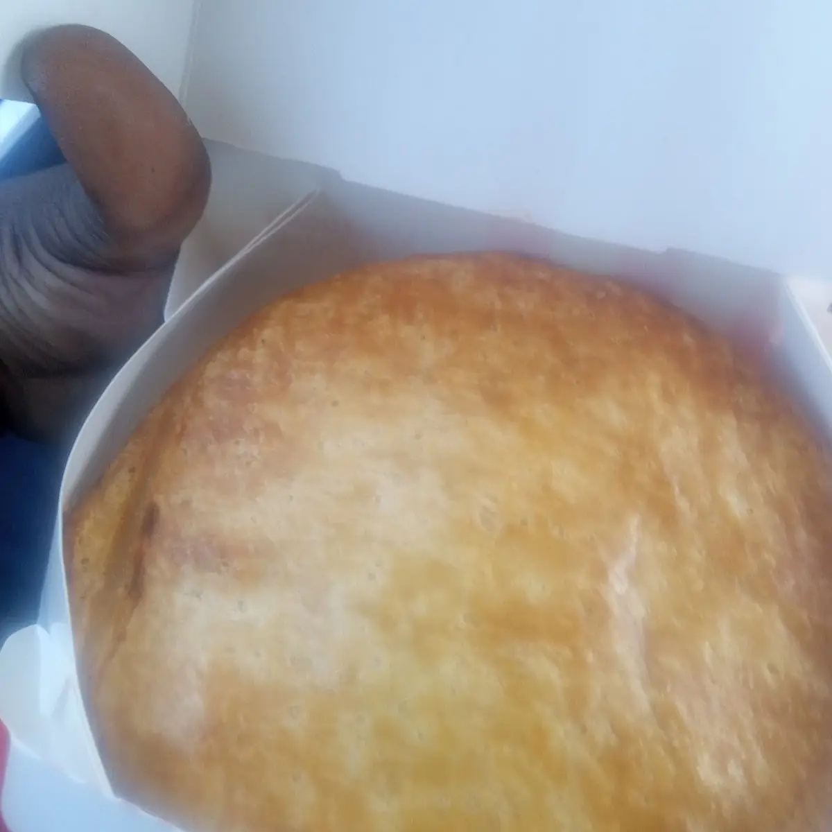 Chicken Pot Pie