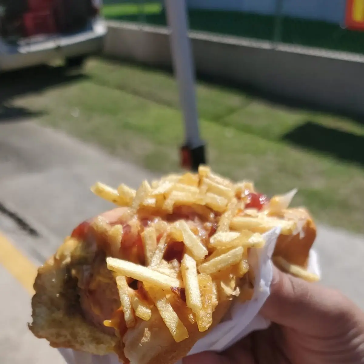 Hot Dog Especial