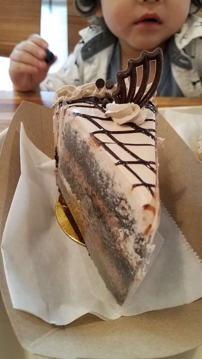 Chocolate Chip Cake Slice