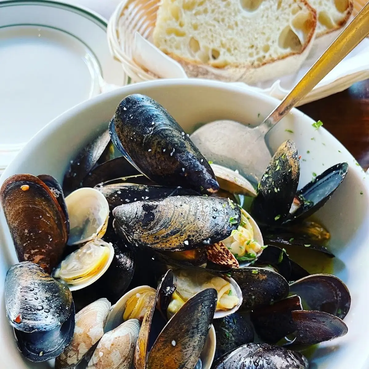 Steamed Mussels with Toasted Bread