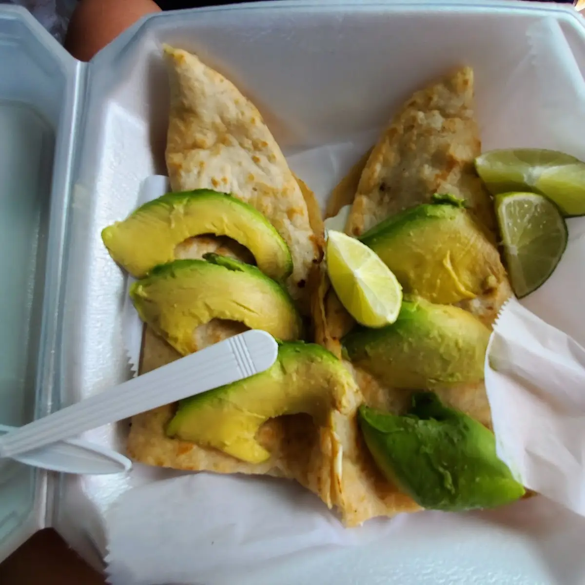 Chicken Quesadilla with Avocado Slices