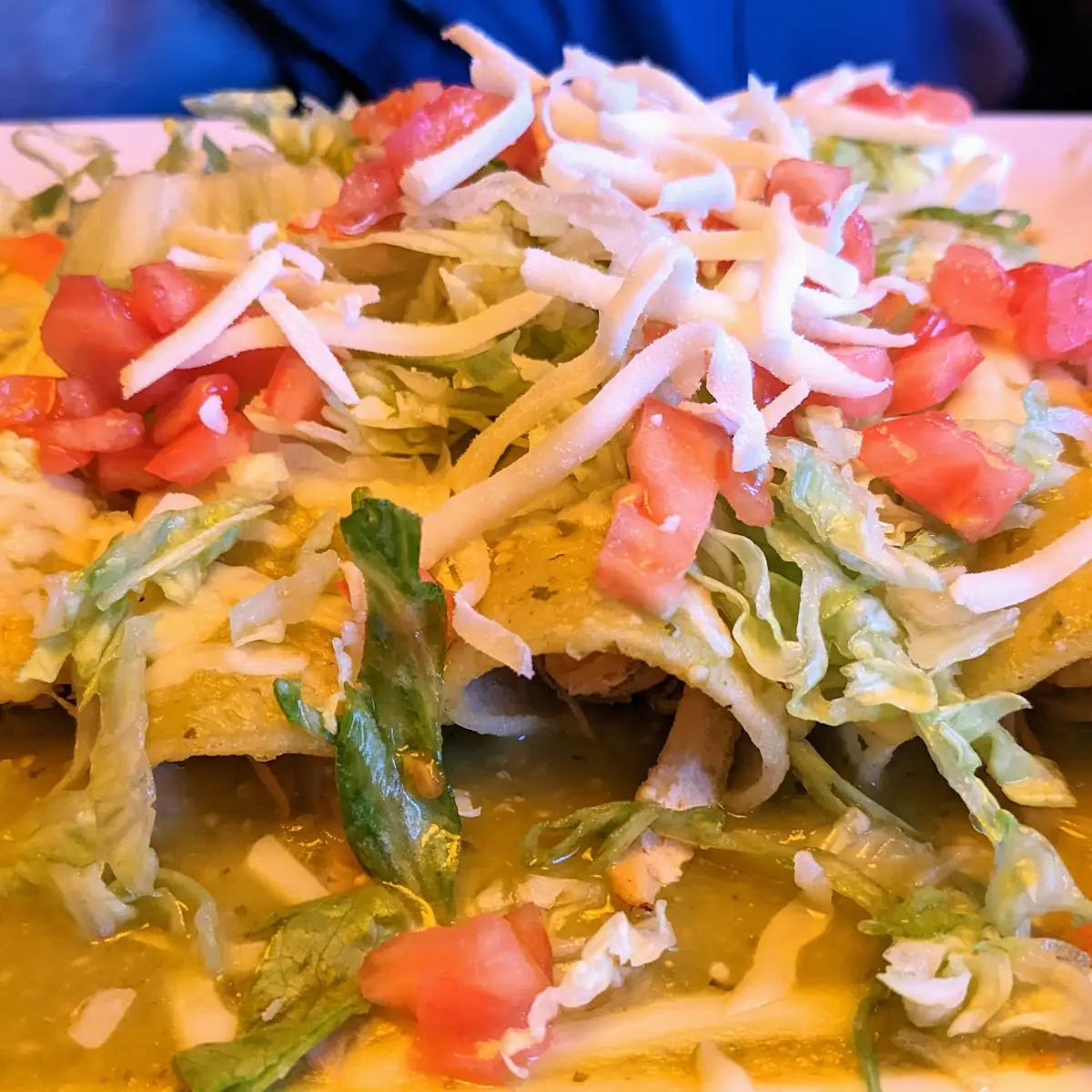 Chicken Enchiladas in Green Sauce