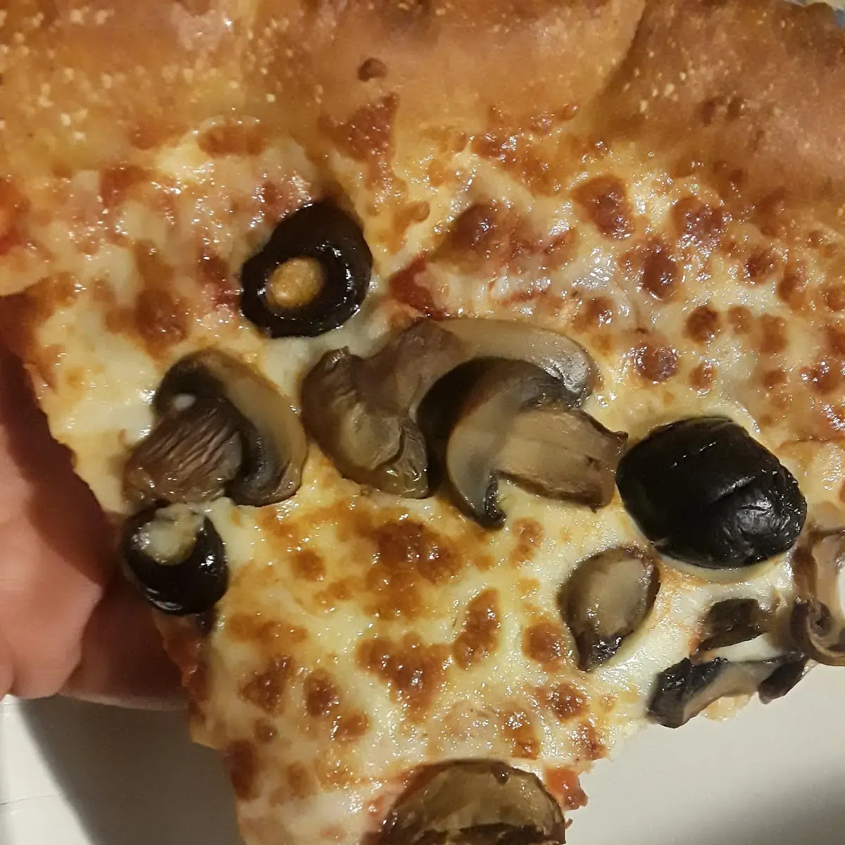 Mushroom and Olive Pizza