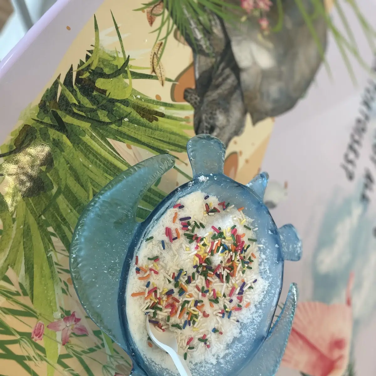 Vanilla Bean