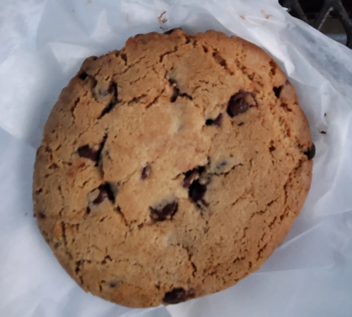 Chocolate Chip Cookie