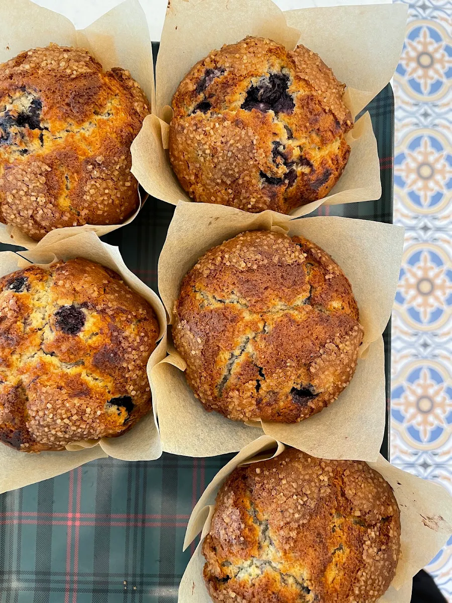 Lemon Blueberry Muffin