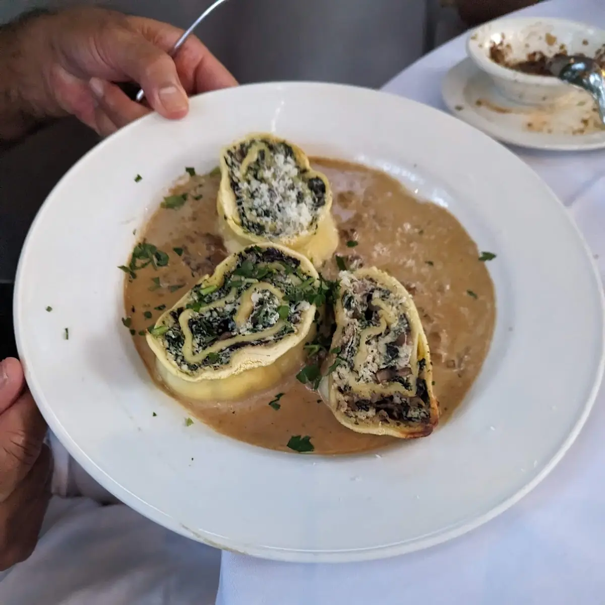 Wild Mushroom Rotolo