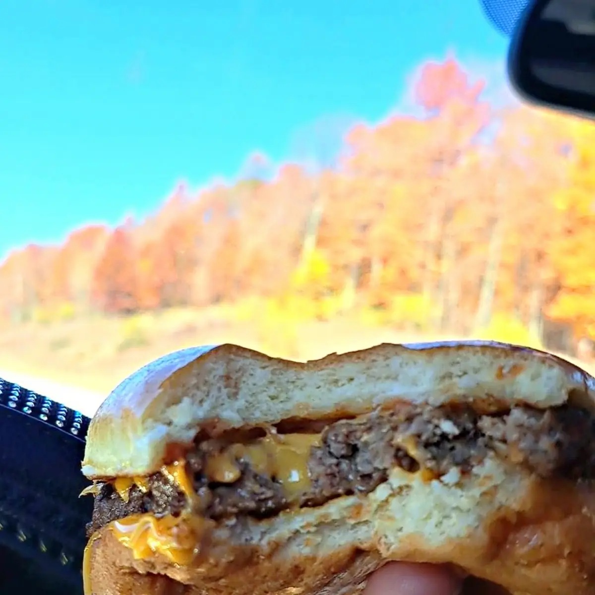 Dave's Single Burger